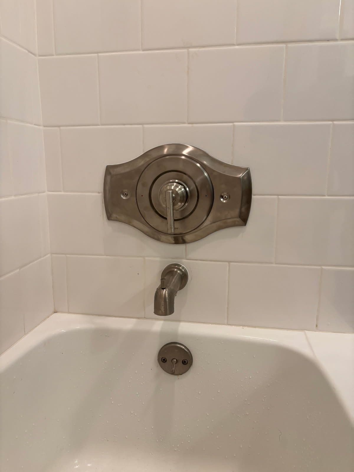Moen Posi-Temp Valve Installation in South Salt Lake image