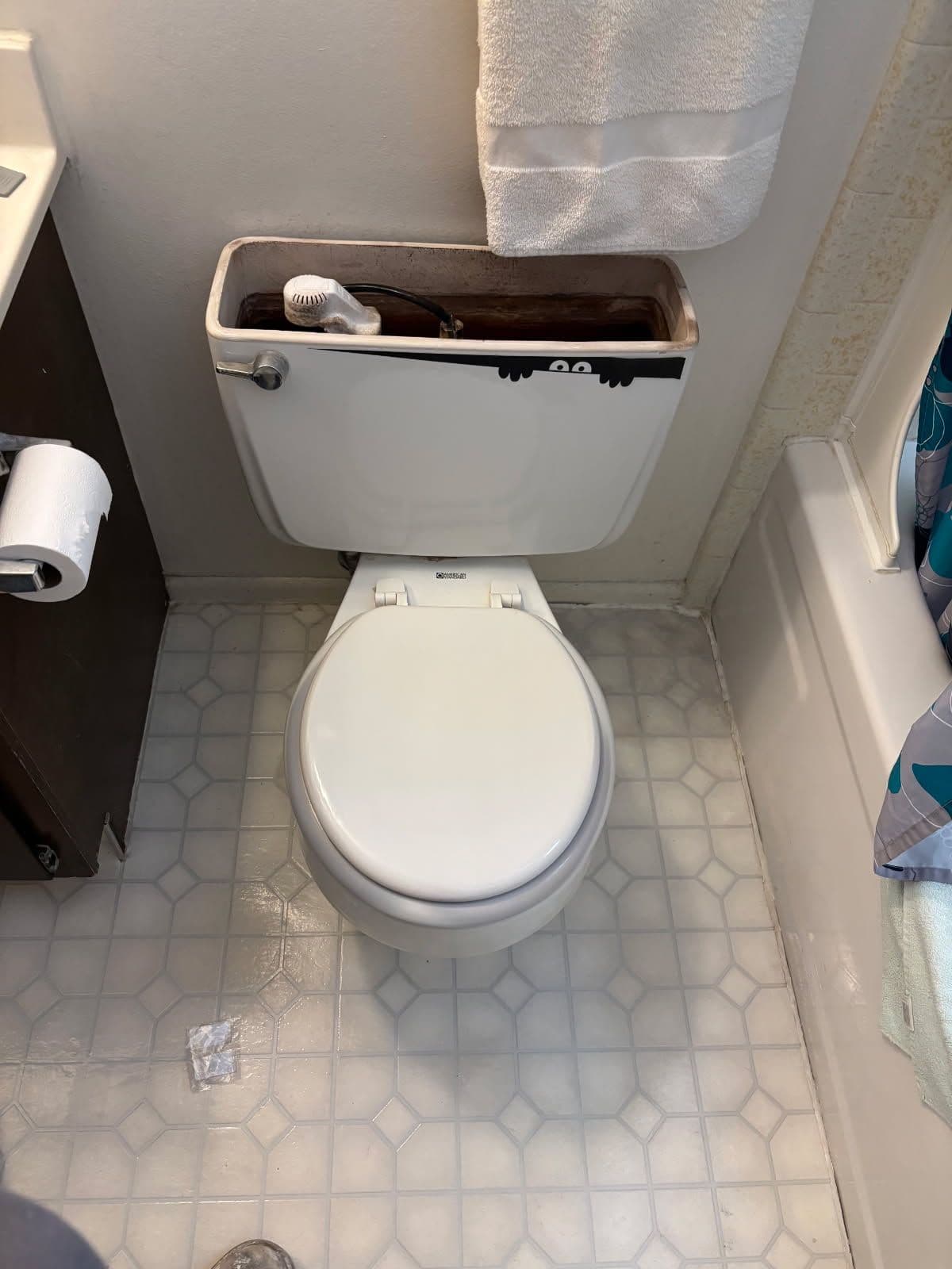 Gallery photos for Bathroom Upgrade with a Brand New Toilet Installation: Image #1