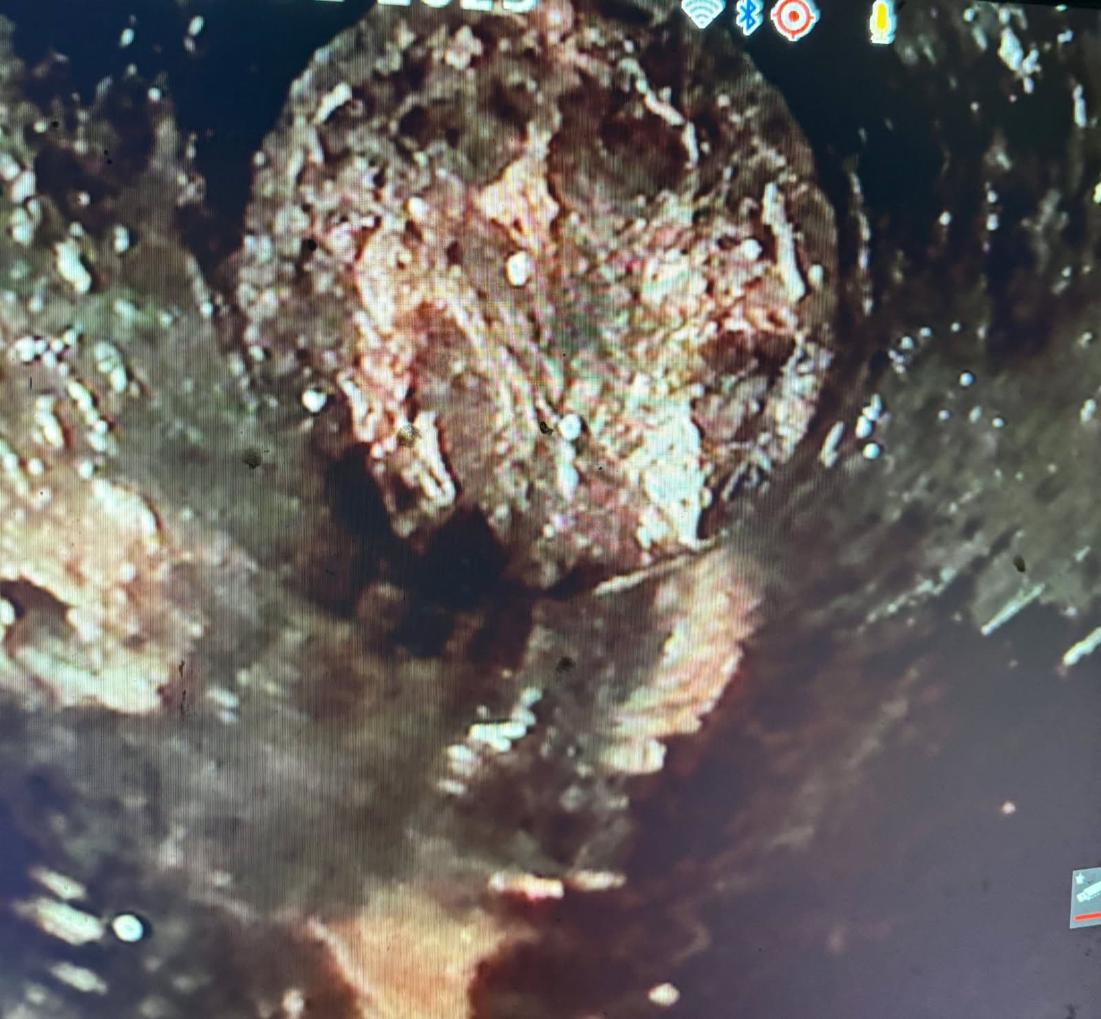 Gallery photos for Effective Root Treatment for Clogged Sewer Lines: Image #1