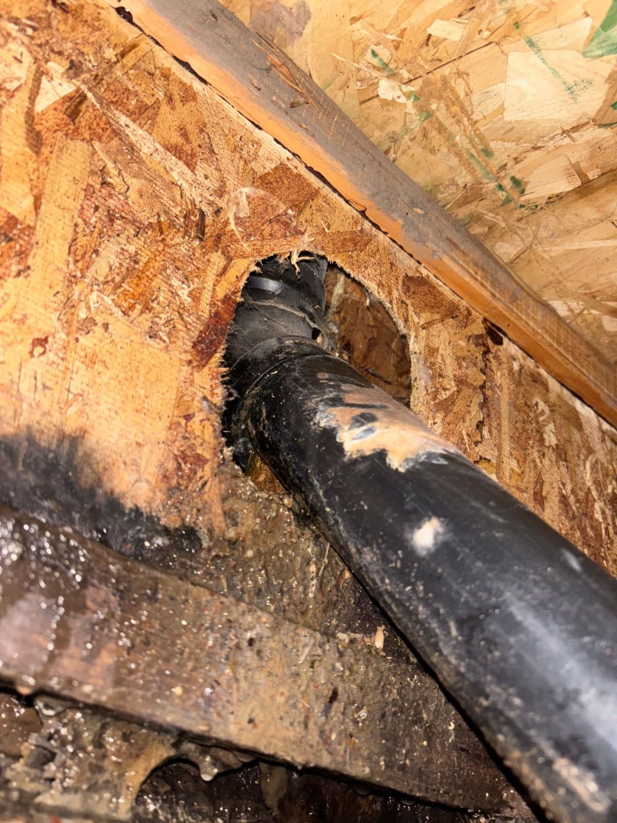 Gallery photos for Fixing a Leaky Kitchen Drain in Salt Lake City: Image #1