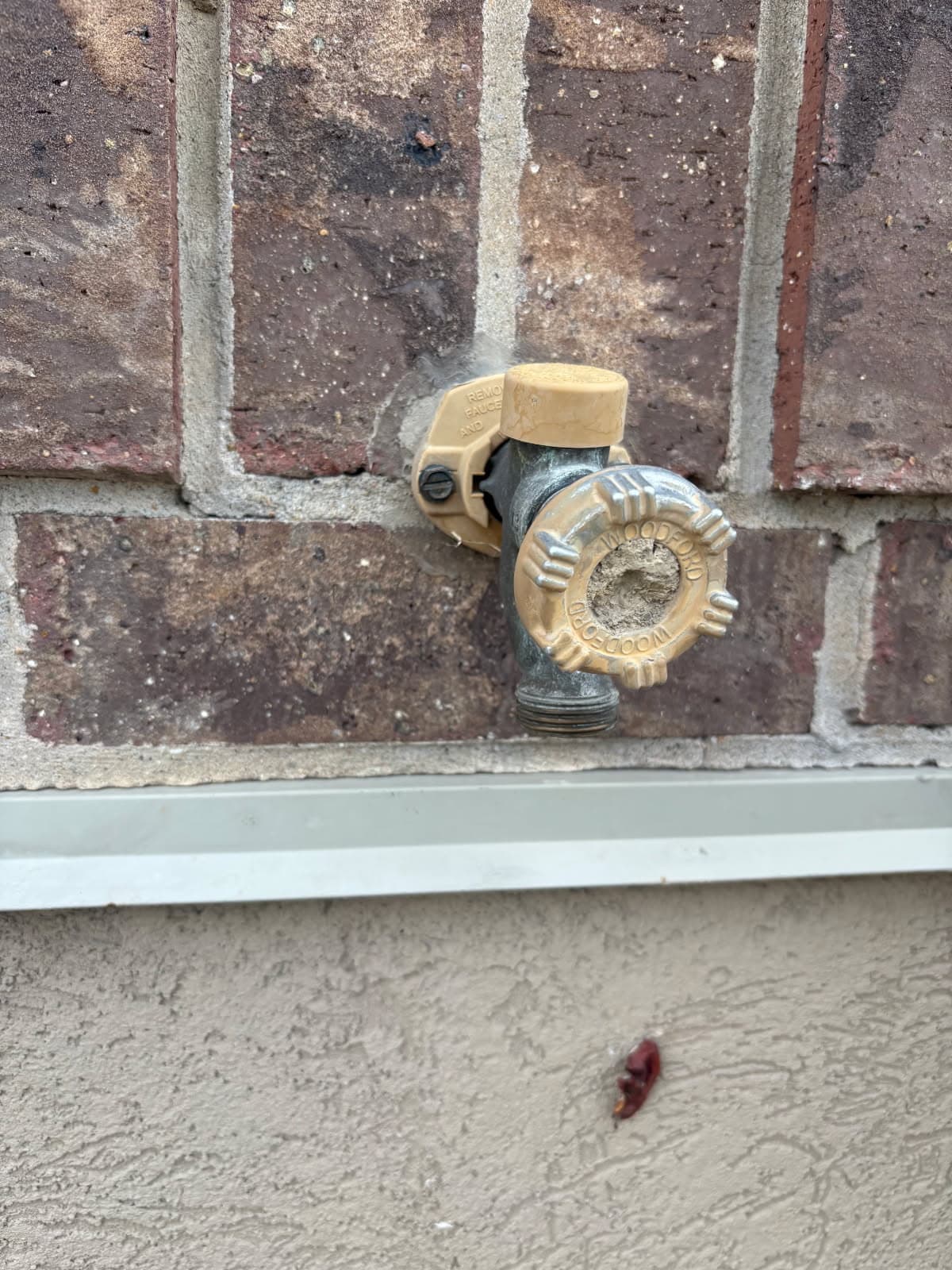 Gallery photos for Old Leaky Hose Bib Swapped Out for a Solid New Install: Image #2